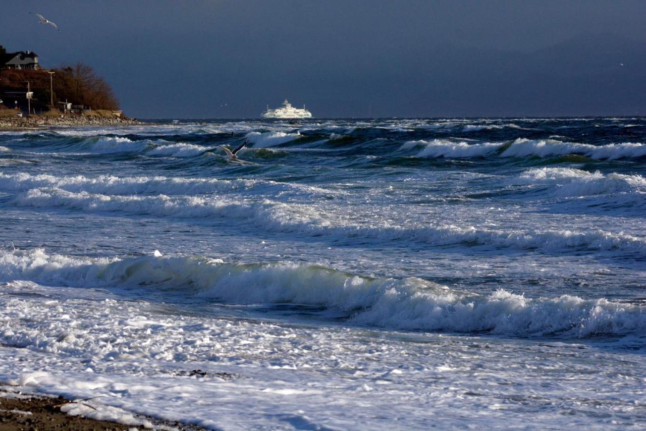 קומוקס Oceanfront Paradise מראה חיצוני תמונה